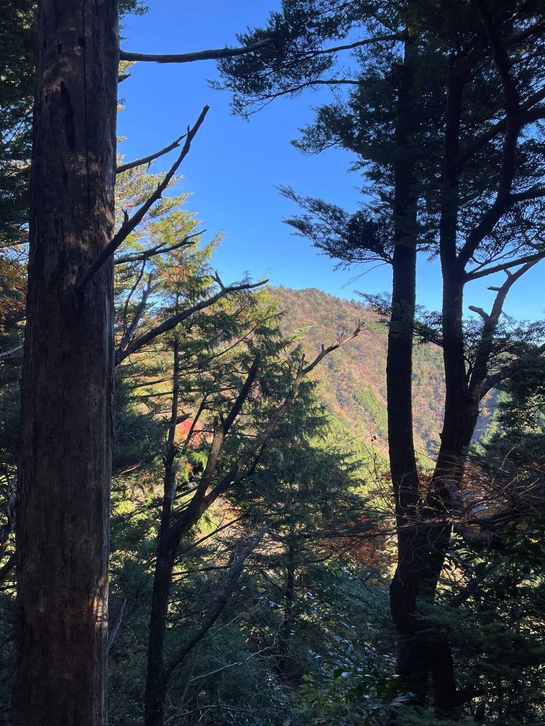 途中、今から向かう水剣山チラッと見えた⛰️