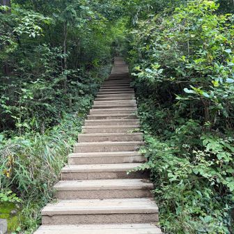 これを登れば頂上です♪