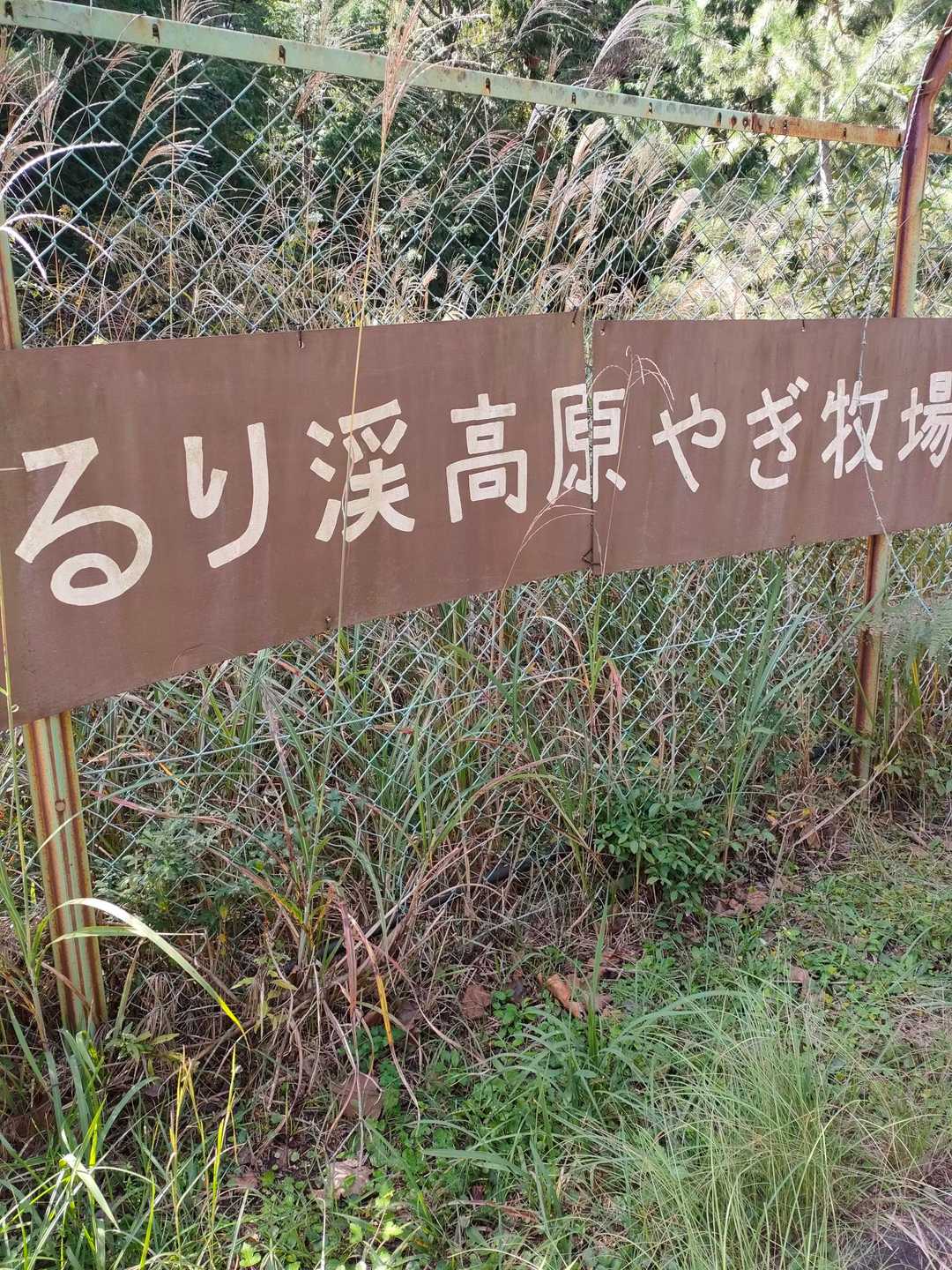 るり渓高原やぎ牧場があるらしい😄