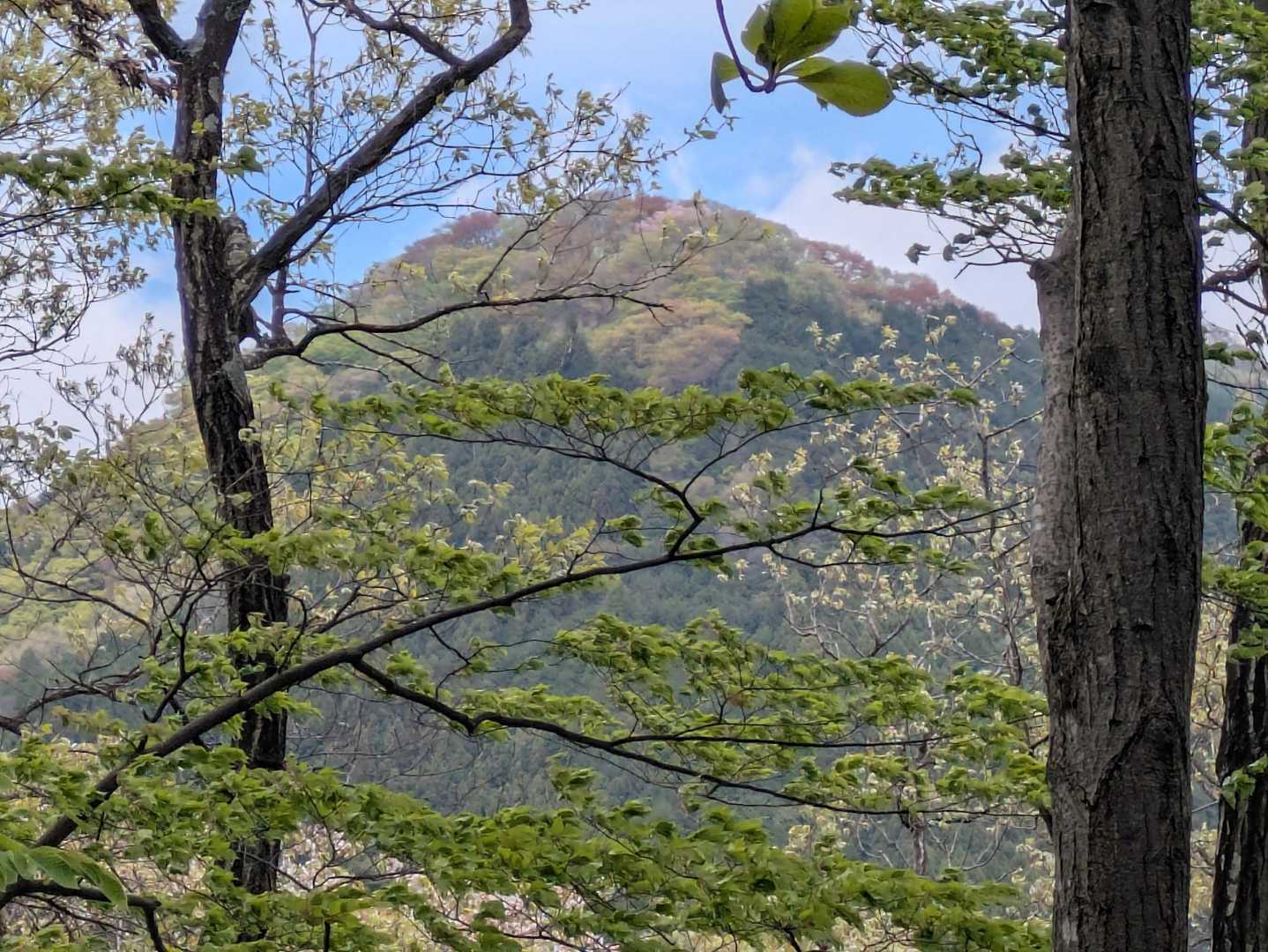 伊豆ヶ岳