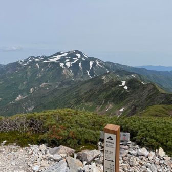 朝は猿壁で鬼ヶ岳常連のYさん御一行に颯爽と追い抜かれて別山分岐でやっと追いつく🏃‍♀️‍➡️
御一行は向こうの山(大汝峰)まで行かれました😲