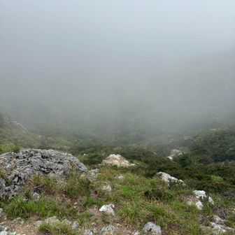 幻想的です　北アルプスなら　雷鳥に会えそうな雰囲気