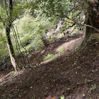 1匹靴に登ってきてる🪱発見😱
撃退