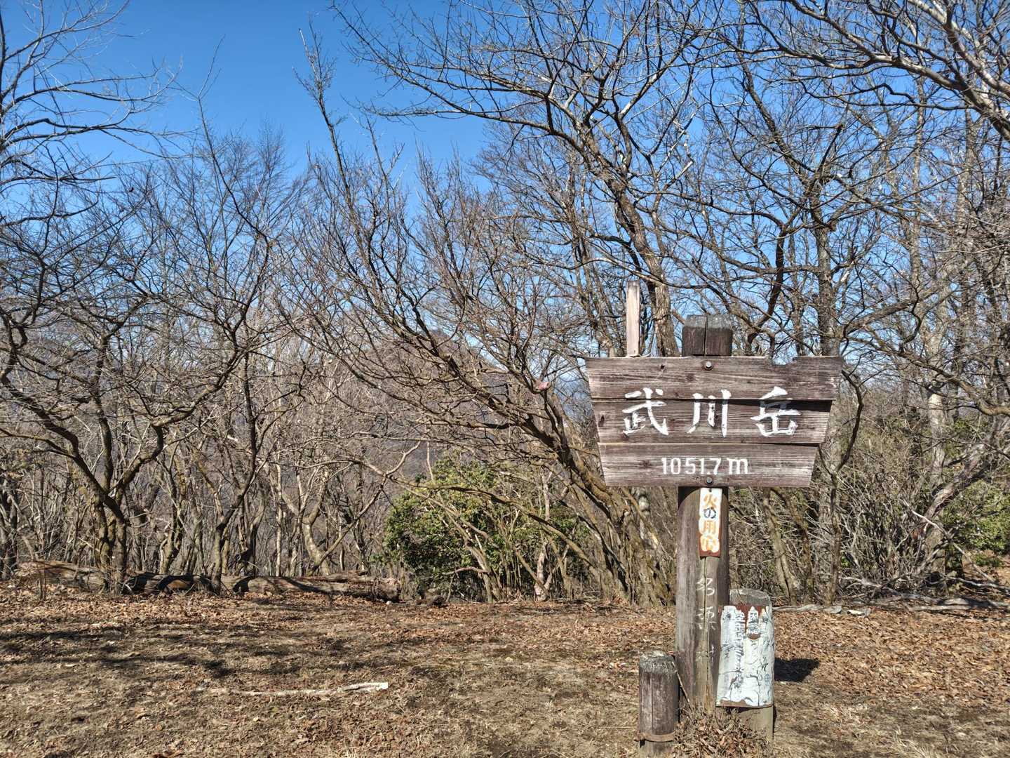 武川岳