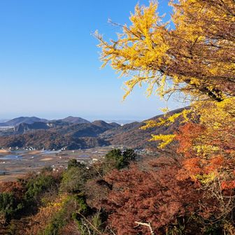 謙信平から三毳山