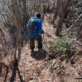 ちょいと降りたら