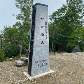 東京都のお山の三角点って立派。