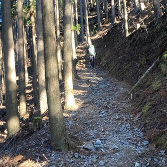 登り始めに滝汗🥵ザック15キロのせいか？ついて行けない😓