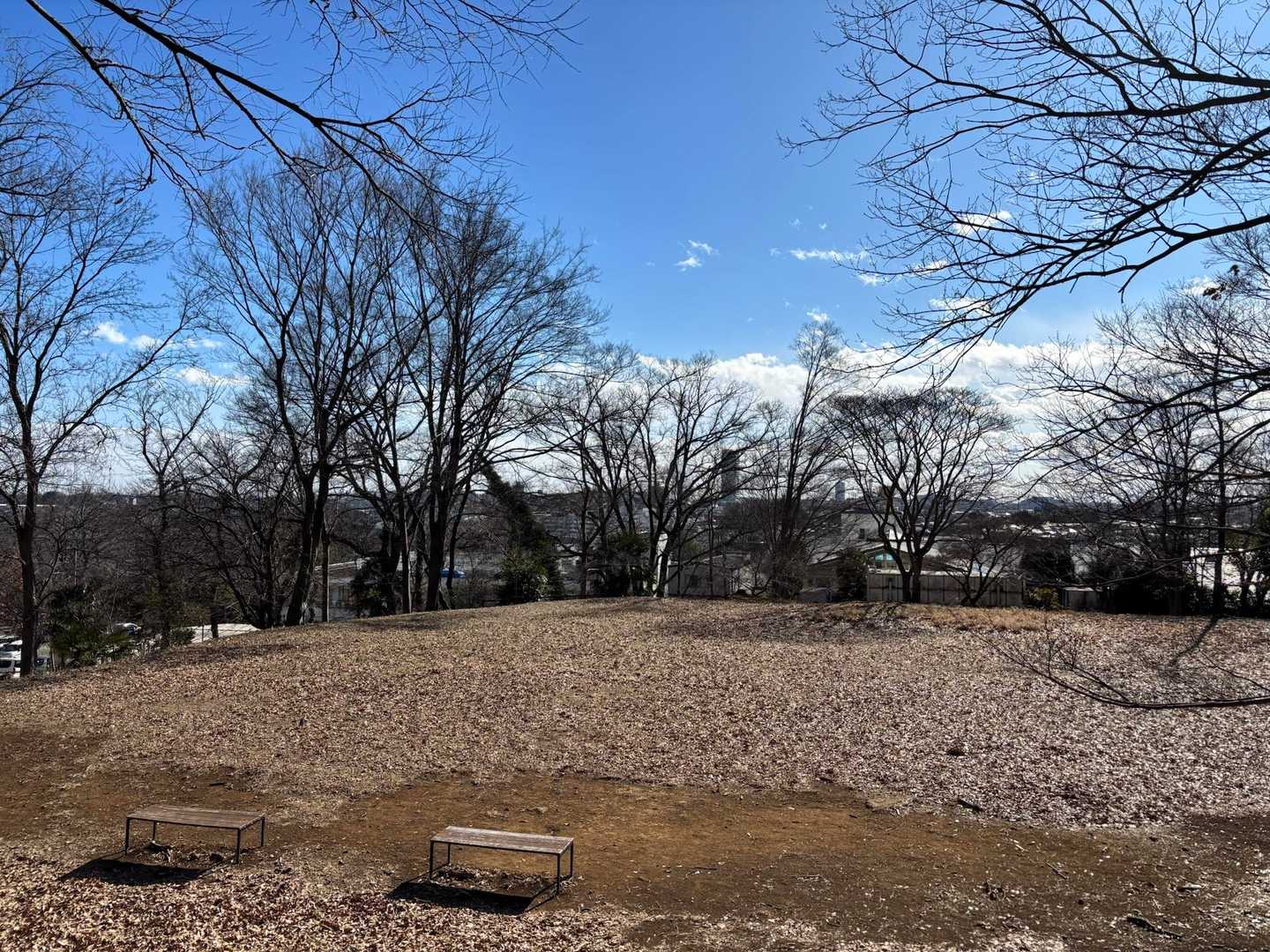 おおぞら広場から東村山市方面