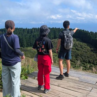 5月のツツジは影も形もなかった