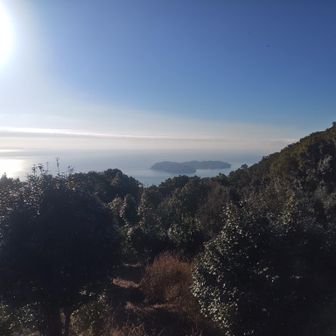 神社の遥拝所から沼島。