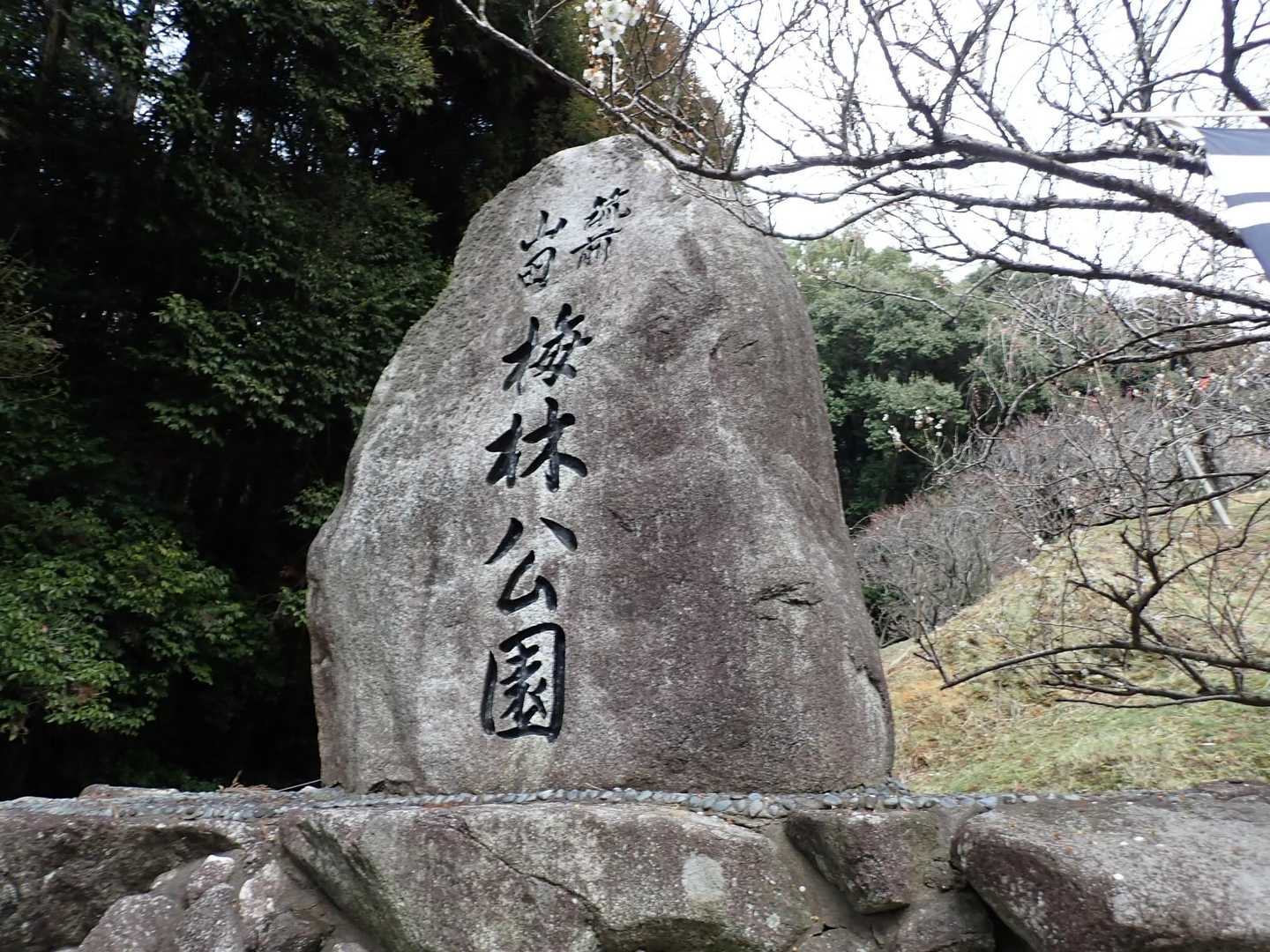 入ります🙏