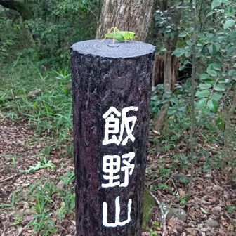 先に来てたんすね🤔