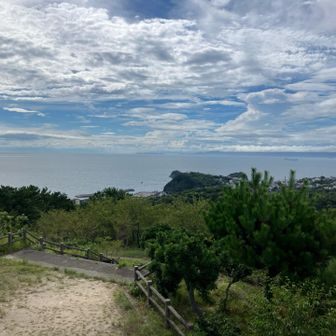 雑賀崎岬が見えてる。結構遠い。。。