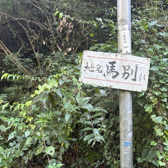 ここまで戻り違う道で