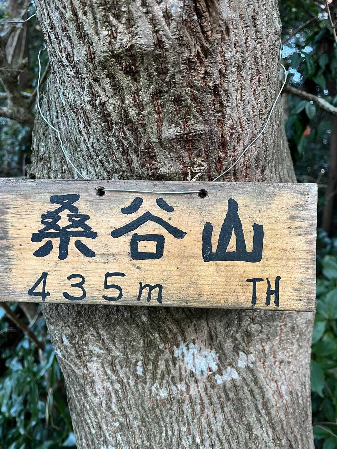 桑谷山⛰️山頂に到着