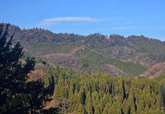 草と山 草戸山の最新登山情報 / 人気の登山ルート、写真、天気など | YAMAP