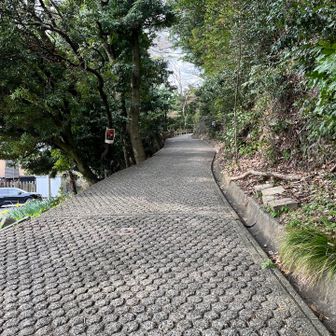 舗装路なので普通の運動靴で登れます。