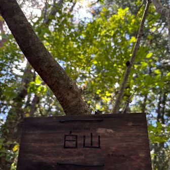 白山🏳️‍🌈810m