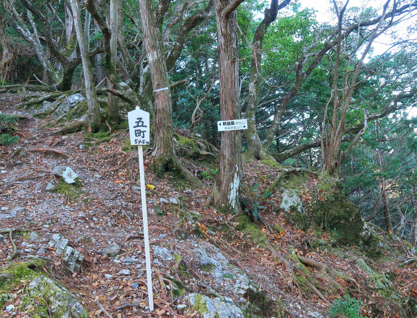 町の明示板・・・何か表示があると疲れ和らぐ感じで良いです。