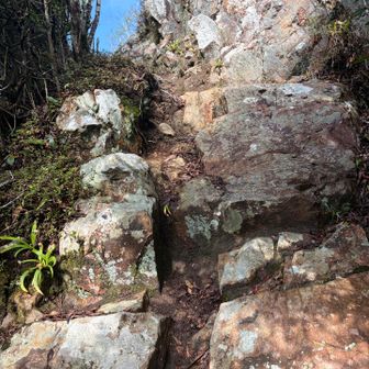 There weren’t any ropes or chains on this side of the mountain. One spot required grabbing onto a hold in the rock and pulling yourself up. 