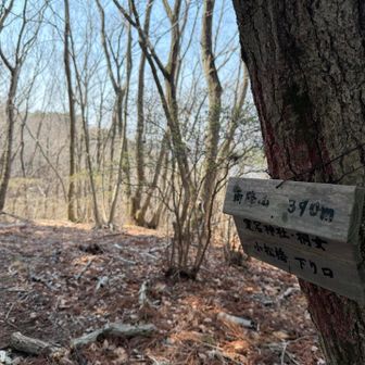 雨降山390m  
結構おりてきた

