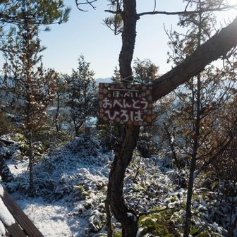 おべんとう広場