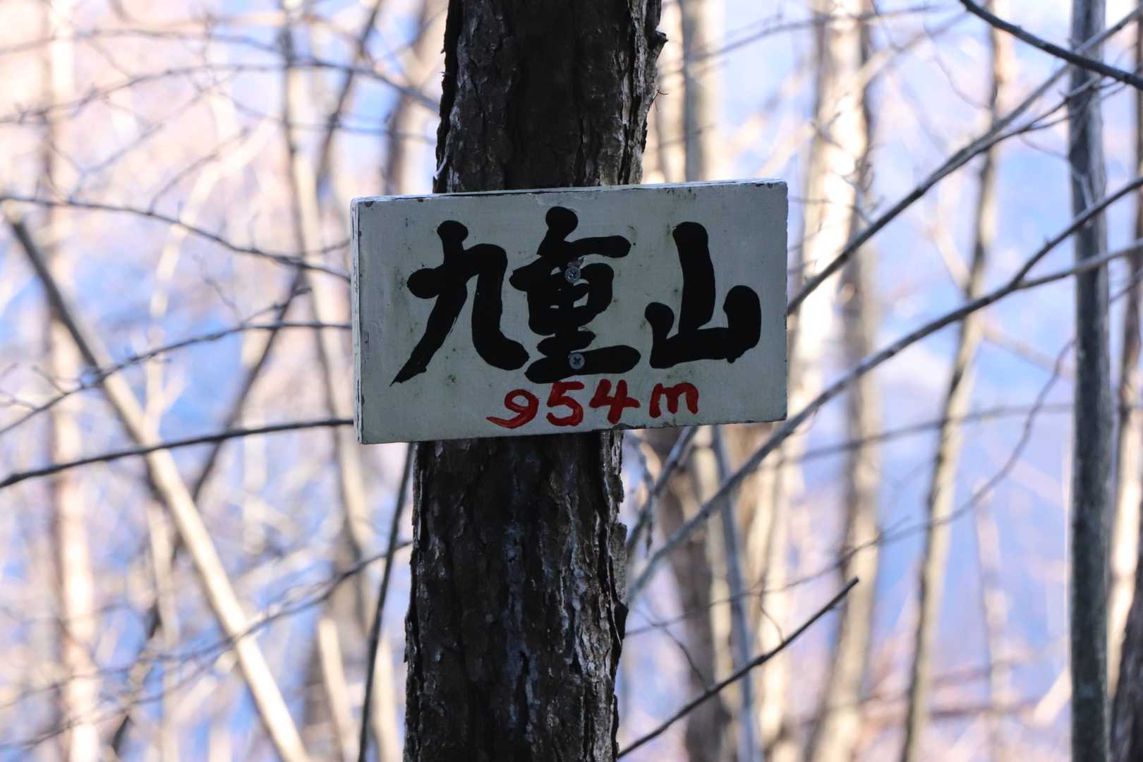 伐採地からは直ぐに山頂