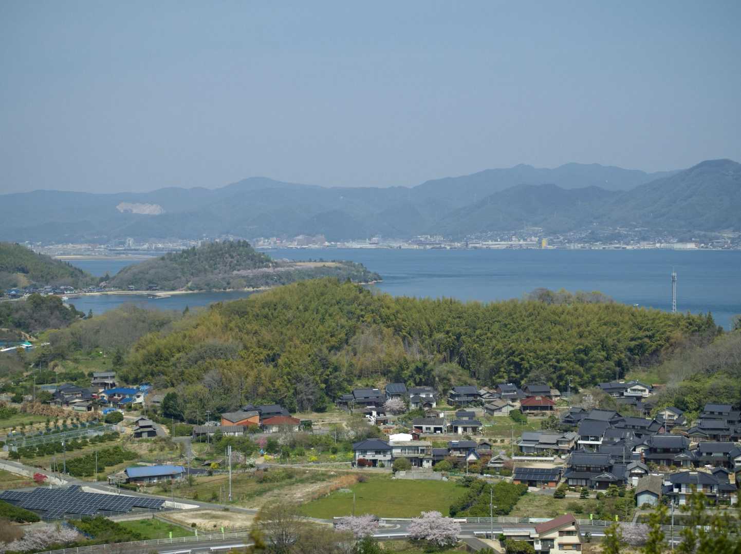 少し歩くと開けた場所に出ました！
めっちゃきれい🐬