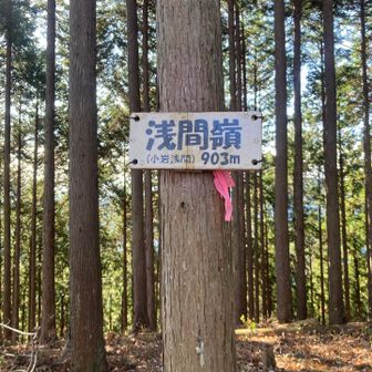 浅間嶺の頂上に着きました！