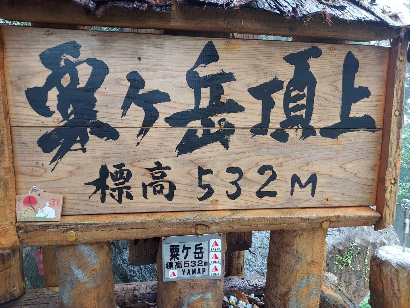 YAMAPだ‼️