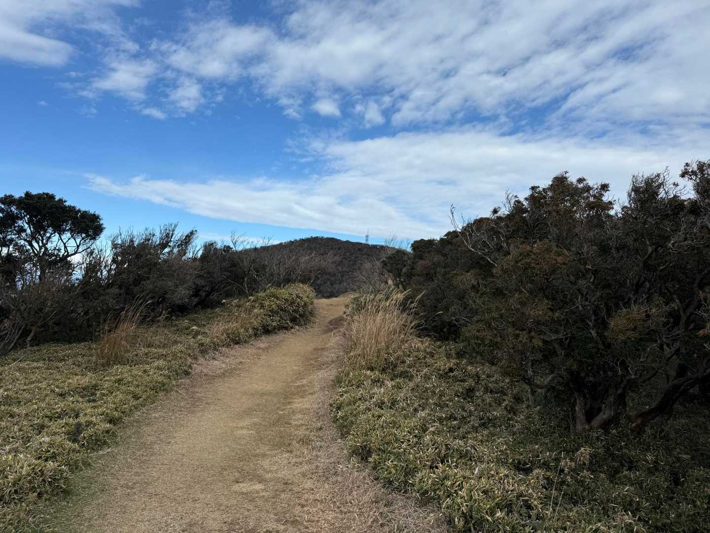 金冠山が見えてきたよ👀