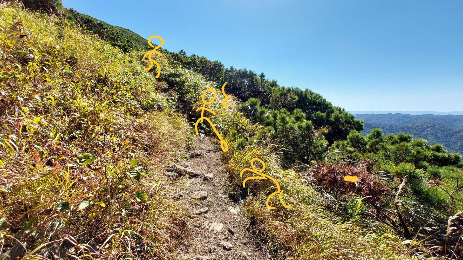 ここで滑落😱登山道を踏み外した😰登山道は目の高さ、ってとこまで滑り落ちた😰あの滑った瞬間、目の前のもの何でも必死でしがみつく瞬間、何度落ちても怖いよねえ😰