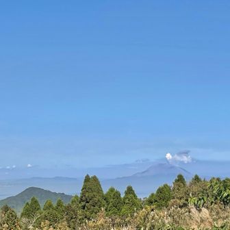 ！！！
桜島？！
（登りでは見ていない景色笑）