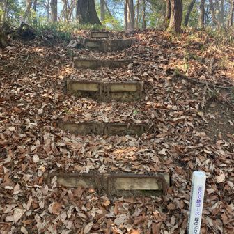 野村山、最後の登り！
と思うのですが、ここは山頂ではありません。