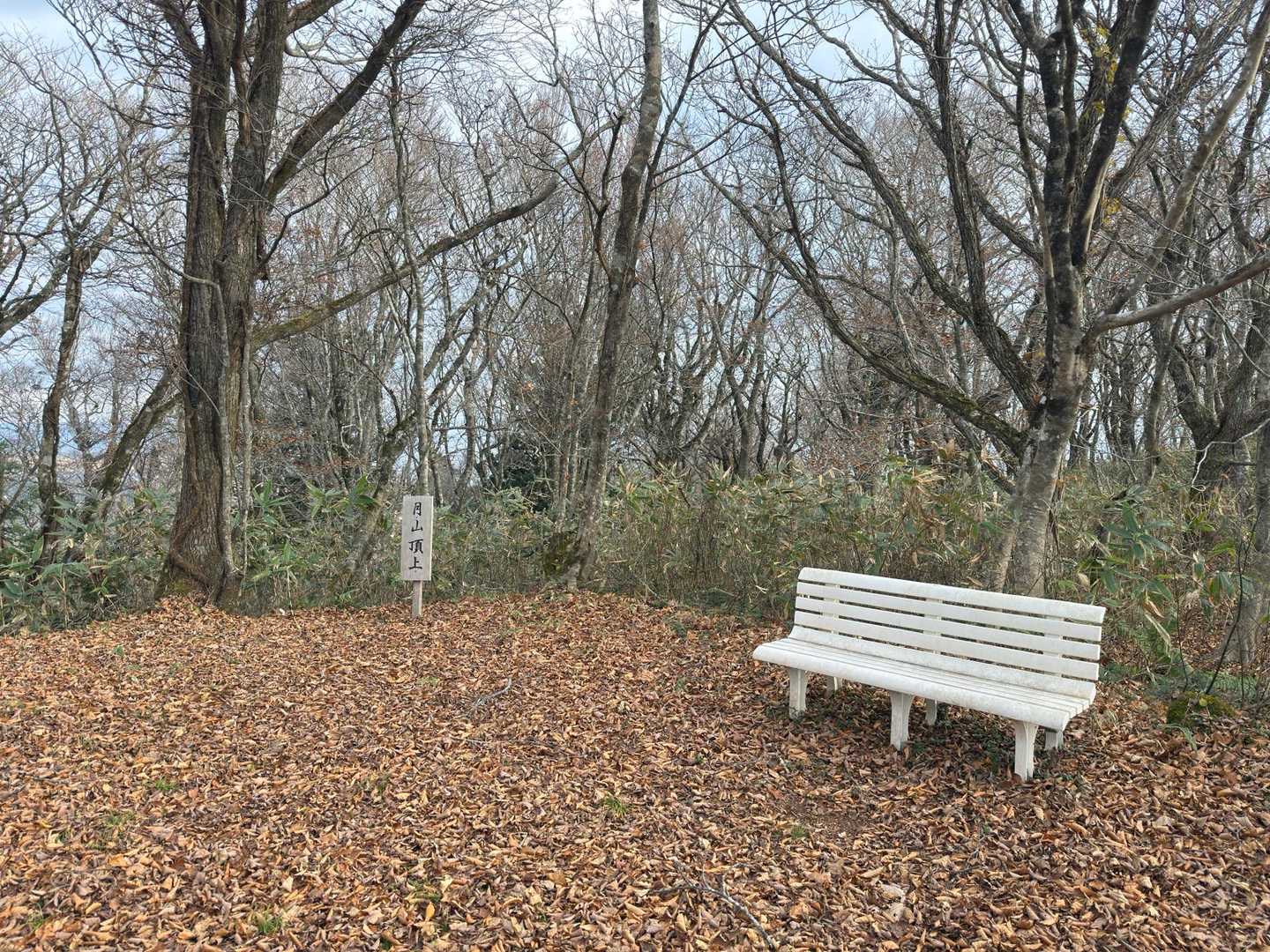 月山貸切登頂😆