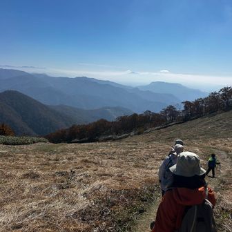 冬はスキーのゲレンデであろう場所を下山