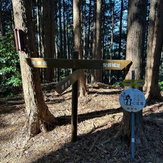 ここが杉ノ沢山の山頂かな？