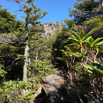 三ッ岳が見えてきた🏔️
あそこまで登るの⁉️