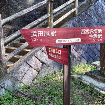 ここから大峰山に行けるんだけど…
今日は飲み物忘れたからやめとこう！
足も痛いし😣