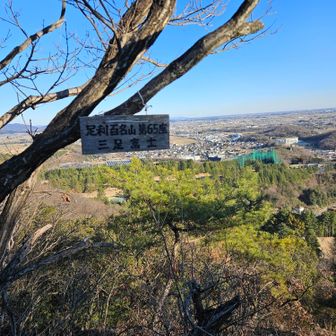 あまりにピーク数多くて写真撮ってなかった🤣
最後から2番目のピーク