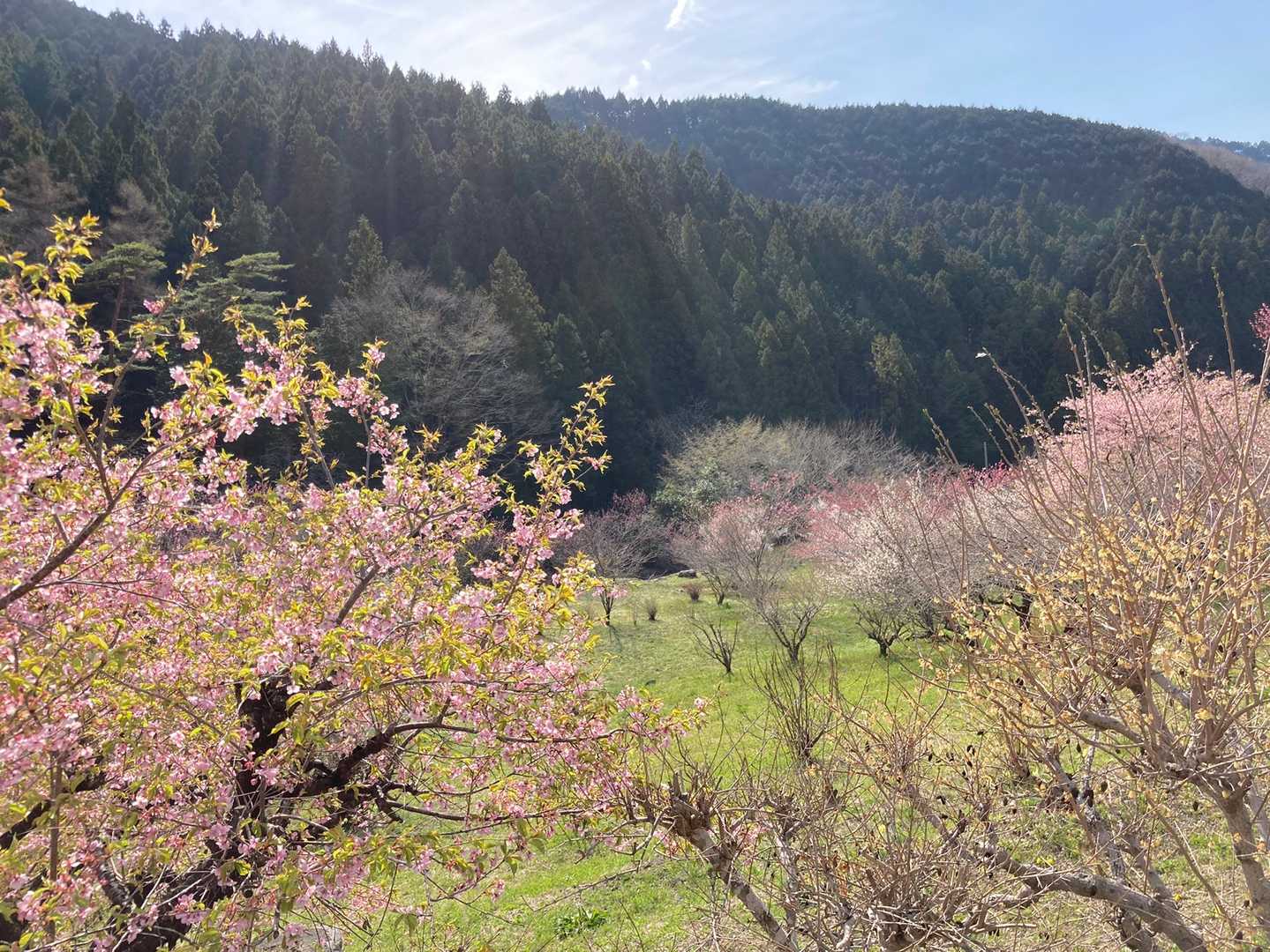 山登りできる元気があるって、本当に幸せなんだな
