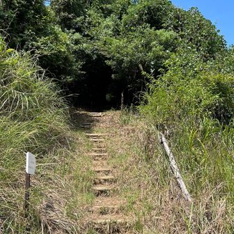 鷲越登山口に降りてきたよ👍
ここから、車道歩きね～
