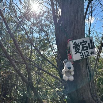 愛宕山⛰️山頂