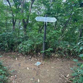 灯台コースへの分岐
浦浜コースへ行くので左へ