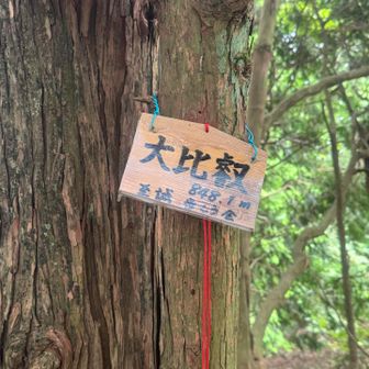 山頂3️⃣