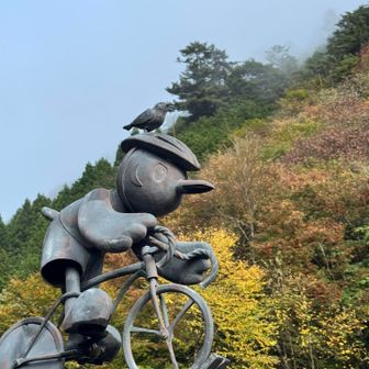 都民の森駐車場からスタート🅿️

・無料
・お手洗い有り


いつものこの子↑🚲🤗