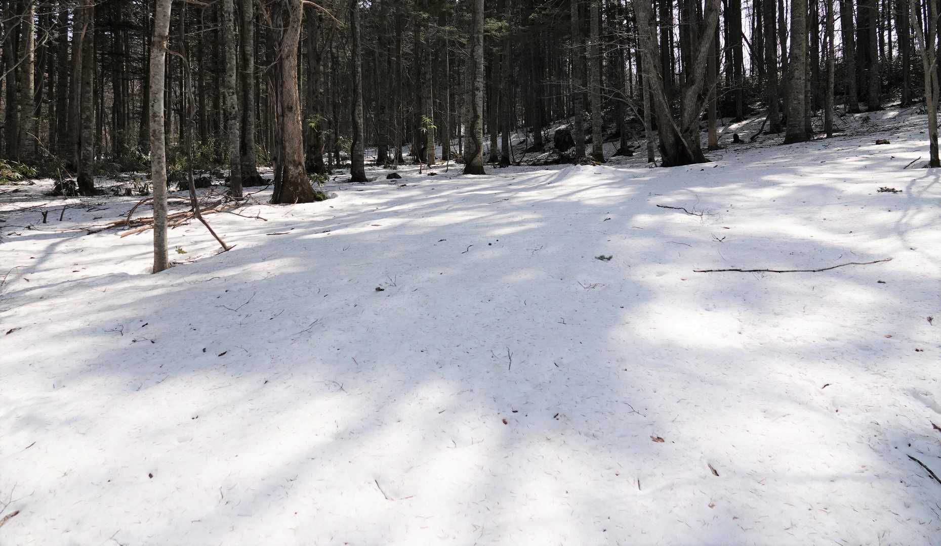 道は乾いている所もあれば、雪が残る所もあり。雪3割くらいか