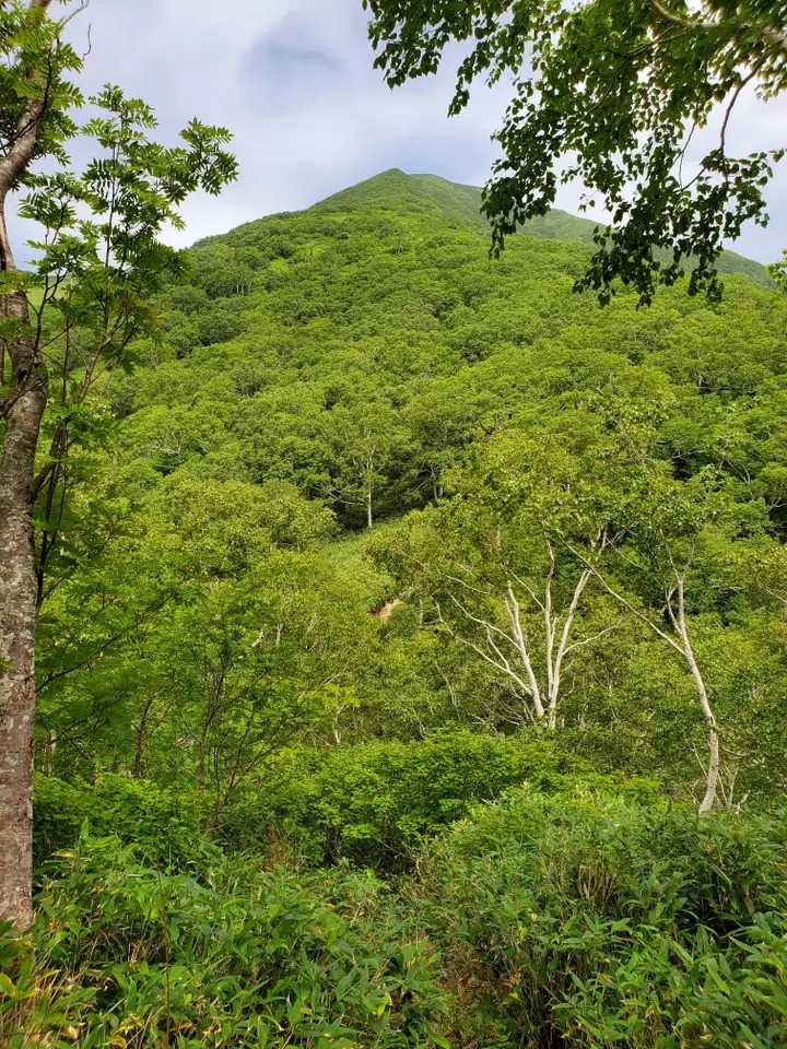 ペテガリ岳の写真