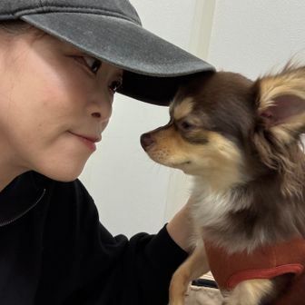 チョコっとやす